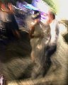 IMG_1806 copy